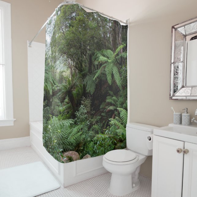 Green Lush Rainforest Nature Australia (In Situ)