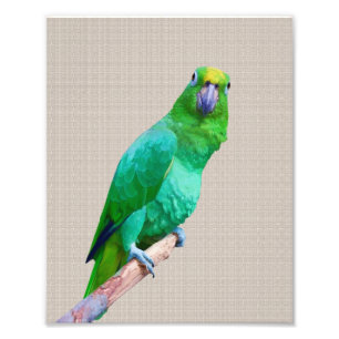 Green Macaw Parrot on a Limb Customizable Text Photo Print