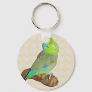 Green male parrotlet keychain