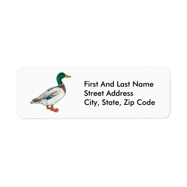 Green Mallard Chasse au canard Art de la nature (Devant)