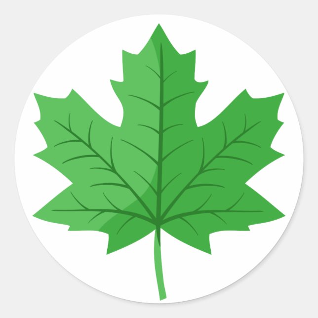 Green Maple Leaf Classic Round Sticker (Front)