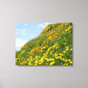 Green Meadow Canvas prints Orange Poppy Flowers