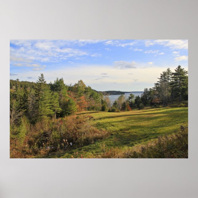 Green Meadow Views Poster (Front)
