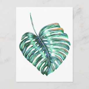 Green monstera leaf palm tropical postcard
