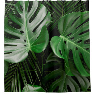 Green monstera leaves and palm leaves