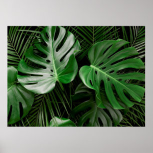Green monstera leaves and palm leaves poster