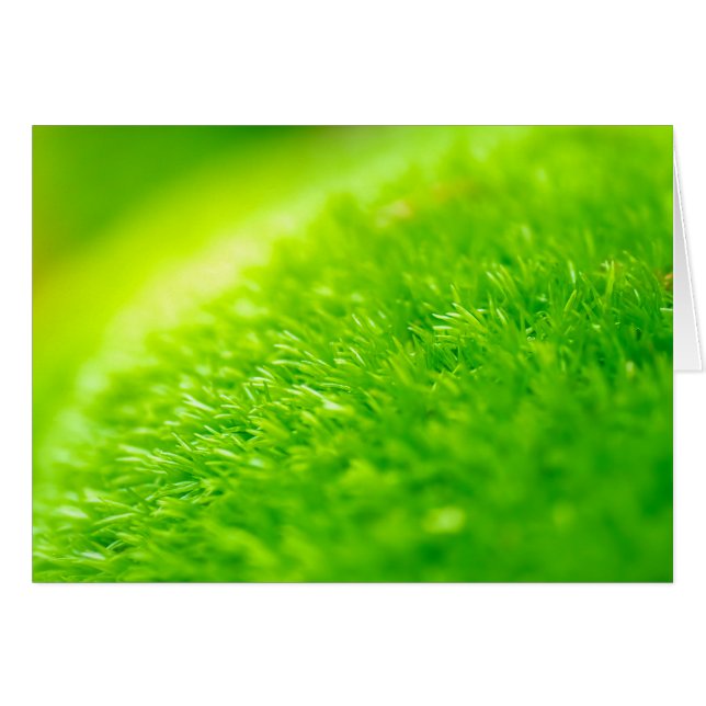 Green moss (Front Horizontal)