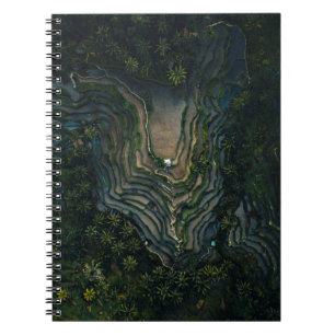 Green moss on black rock notebook