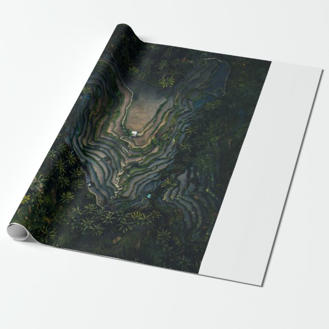 Green moss on black rock wrapping paper (Unrolled)