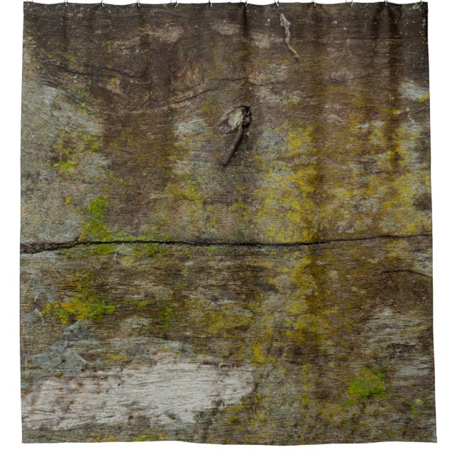 Green moss texture and background. abstract, alive (Front)