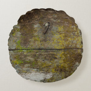 Green moss texture and background. abstract, alive round pillow