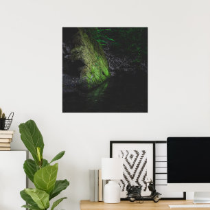 Green mossy rock with reflection in water poster