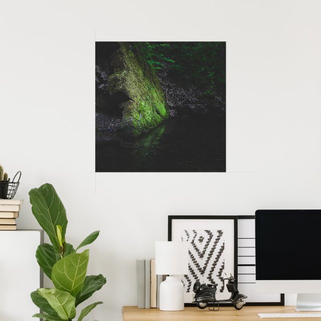 Green mossy rock with reflection in water poster (Home Office)