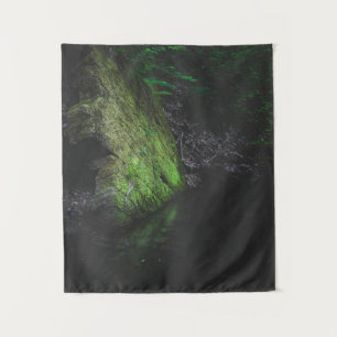 Green mossy rock with reflection in water tapestry