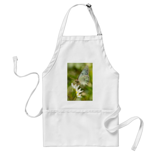 Green Moth on False Garlic Apparel and Gifts Standard Apron (Front)