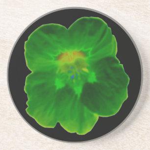 Green Nasturtium Coasters