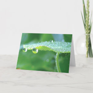 Green Nasturtium With Dew, Poetry of Nature Card
