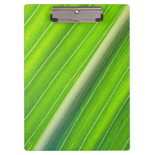 Green natural striped pattern clipboard