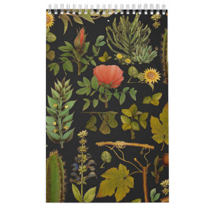 Green Nature Cactus Calendar
