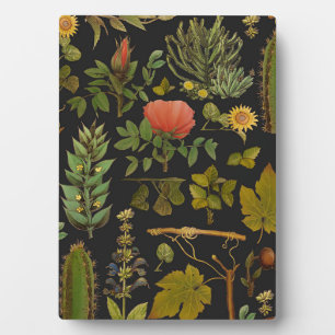 Green Nature Cactus Plaque