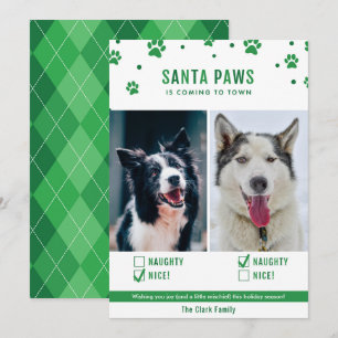 Green Naughty or Nice Two Dog Christmas Photo Card