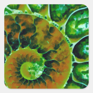 Green Nautilus Square Sticker
