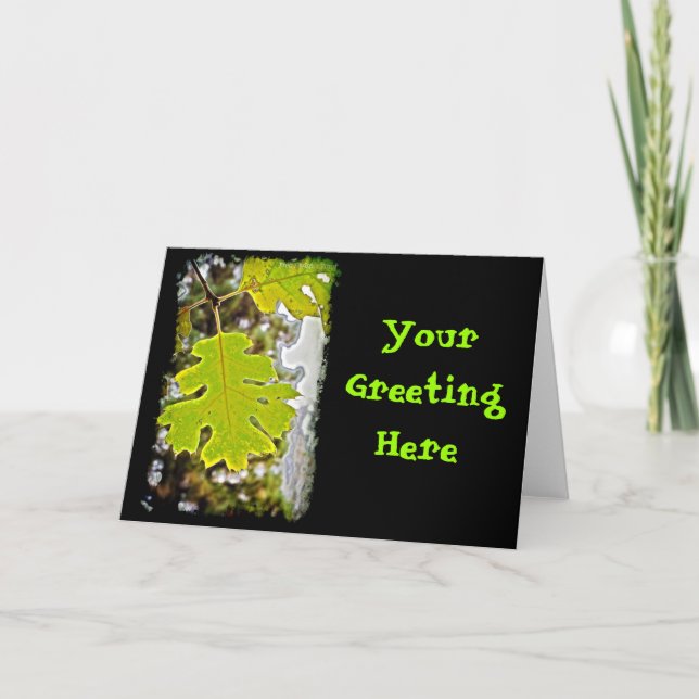 Green Oak Leaf HDR Holiday Card (Front)