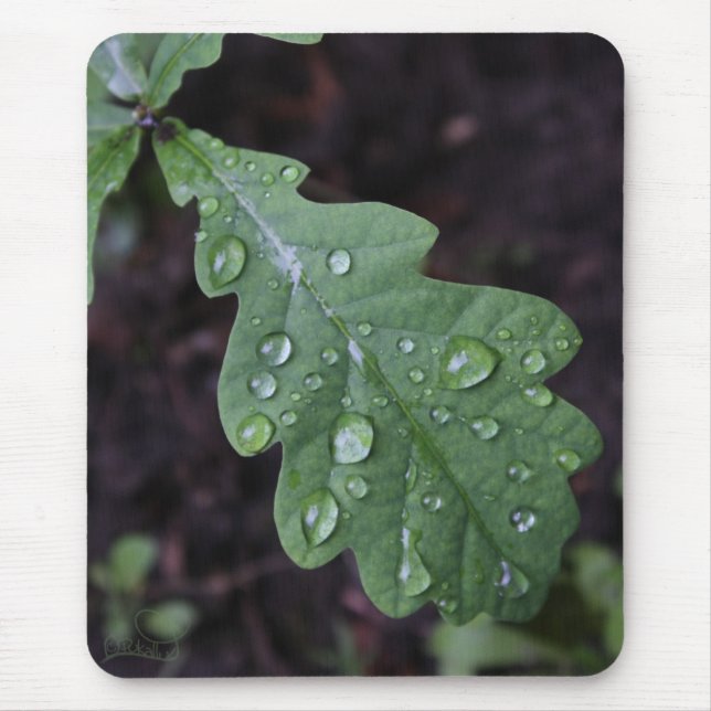 Green oak leaf in rain mouse pad (Front)