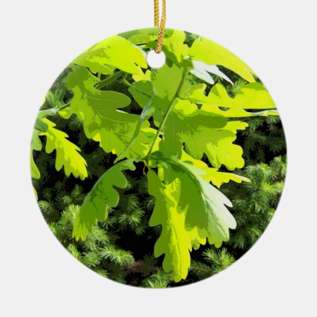 Green Oak Tree Leaves Ceramic Ornament (Front)