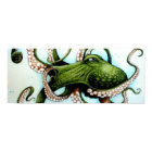 Green Octopus