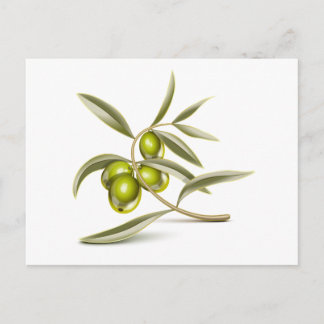Green olives branch postcard