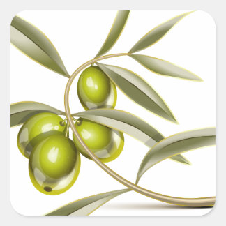 Green olives branch square sticker