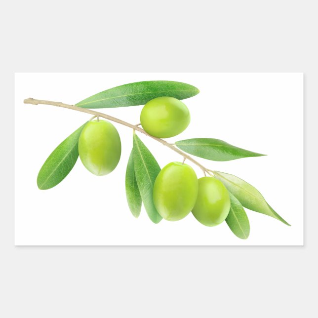 Green olives branch sticker (Front)