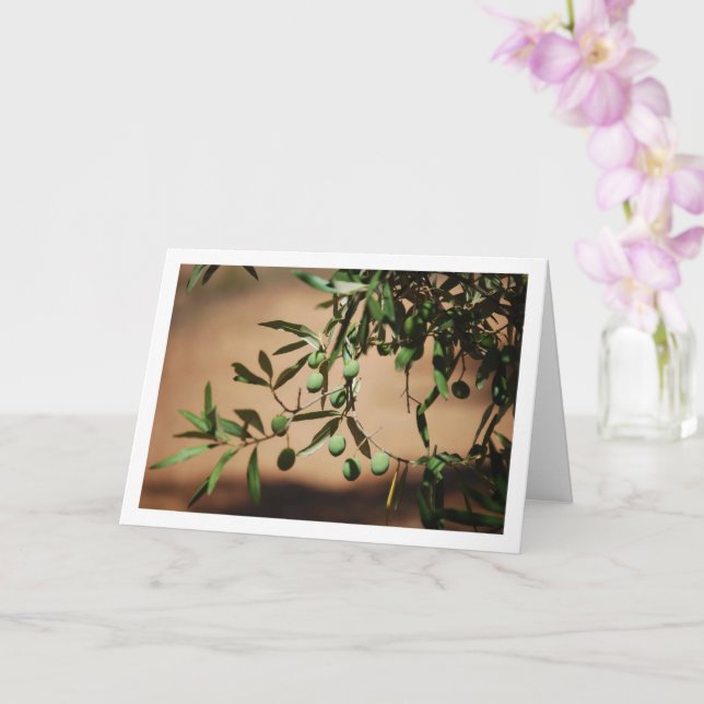 Green Olives Hanging from Olive Tree Card (Orchid)