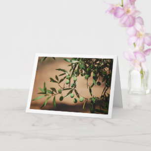 Green Olives Hanging from Olive Tree Card