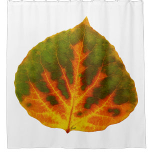 Green Orange & Yellow Aspen Leaf #1