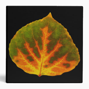 Green Orange & Yellow Aspen Leaf #1 Binder