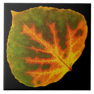 Green Orange & Yellow Aspen Leaf #1 Tile