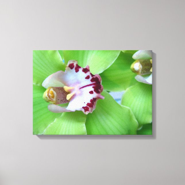 Green Orchids Canvas Print (Front)