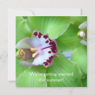 Green Orchids invitations