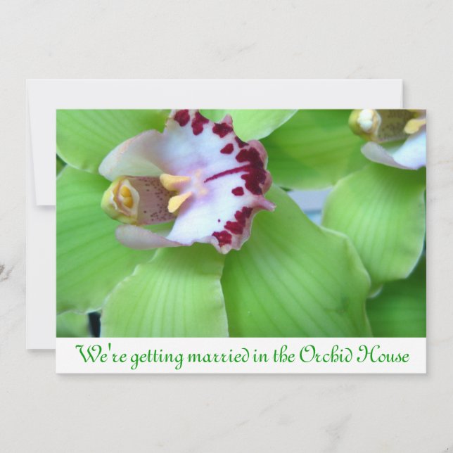 Green Orchids invitations (Front)