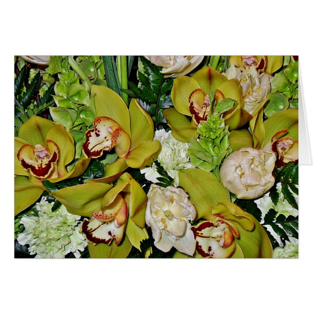 Green Orchids of Love_ (Front Horizontal)