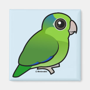 Green Pacific Parrotlet Magnet