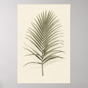 Green Palm Frond Botanical Poster