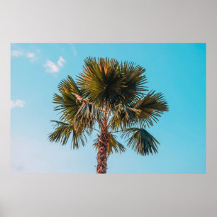 Green palm tree poster