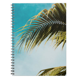 Green palm tree under blue sky notebook