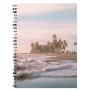 GREEN PALM TREES ON BROWN SAND UNDER WHITE CLOUDS NOTEBOOK