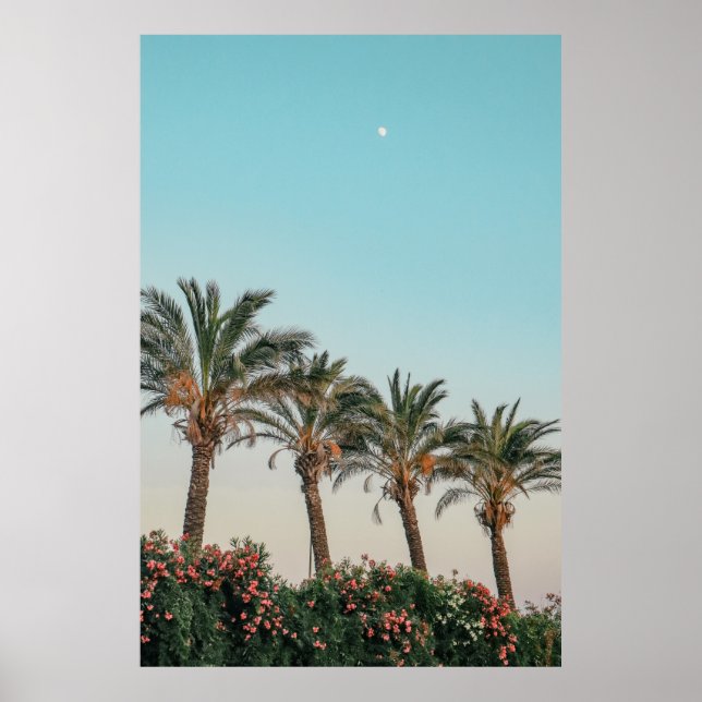 GREEN PALM TREES UNDER BLUE SKY POSTER (Front)