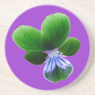 Green Pansy Coasters