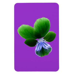 Green Pansy Premium Magnet